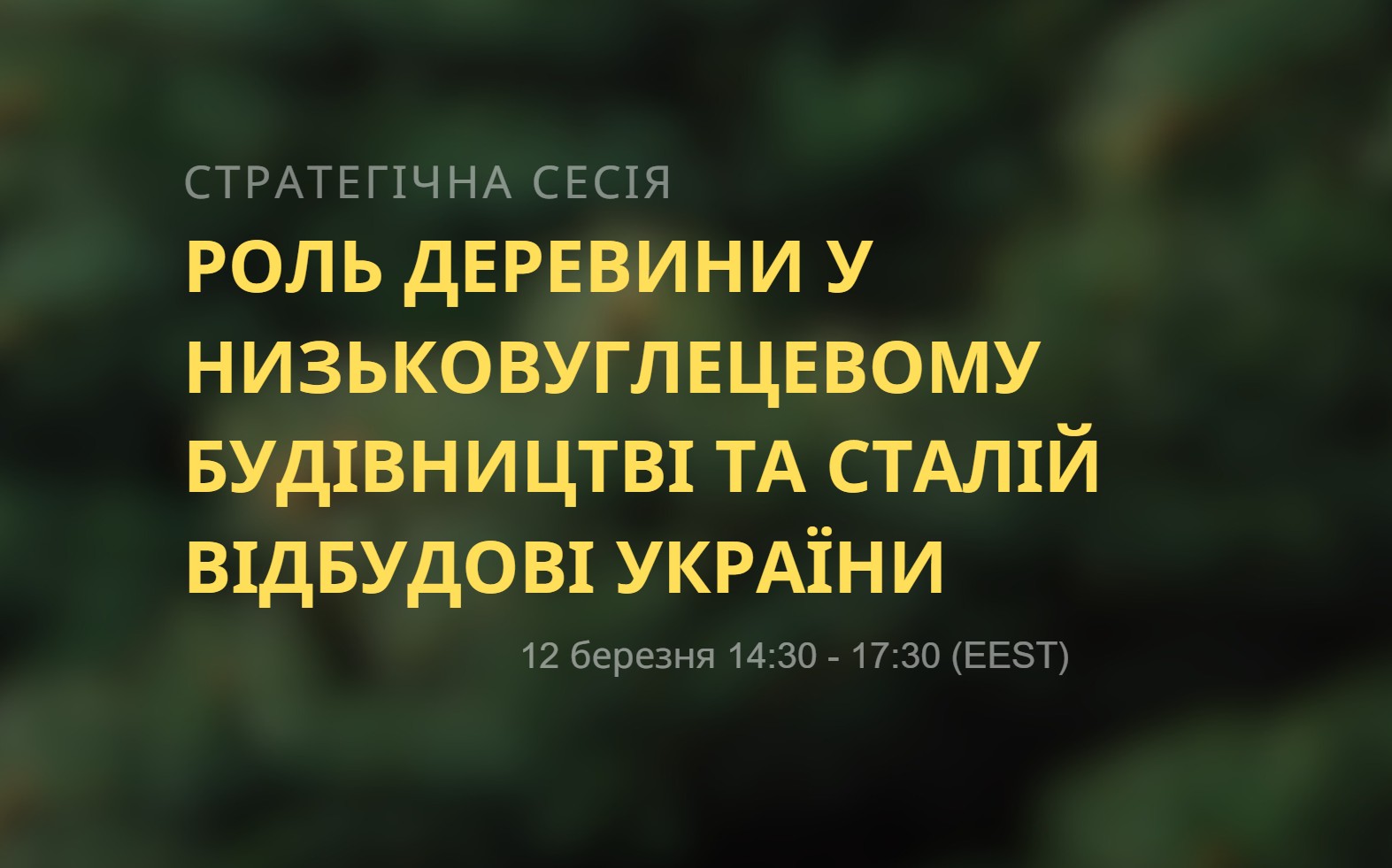 webinar