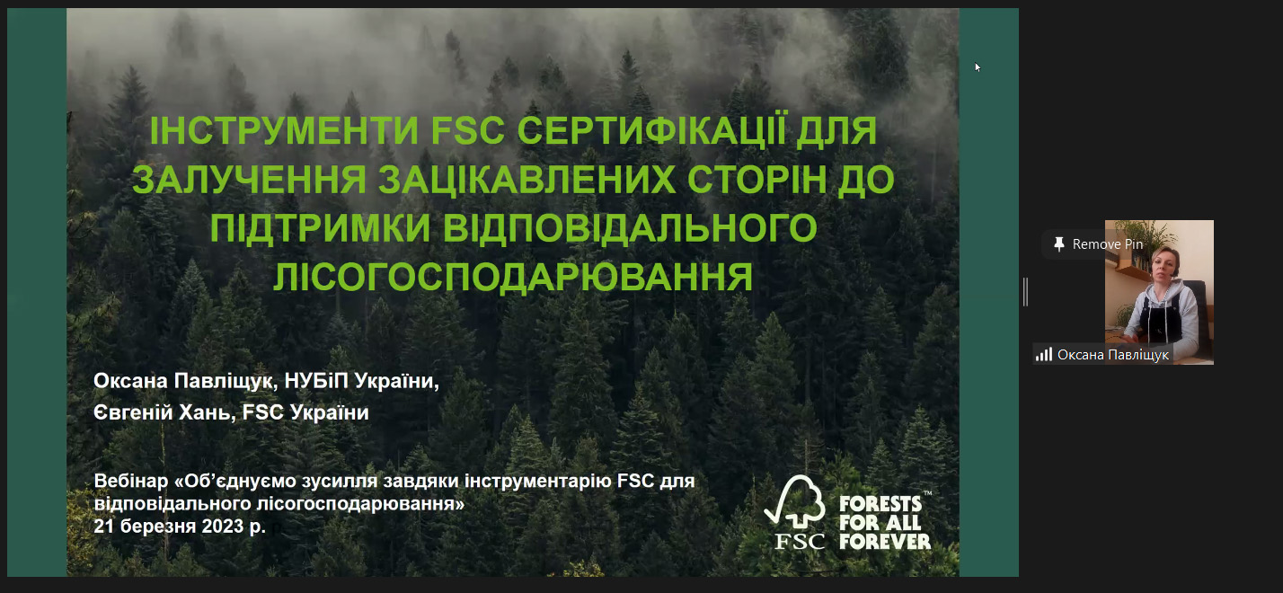 webinar
