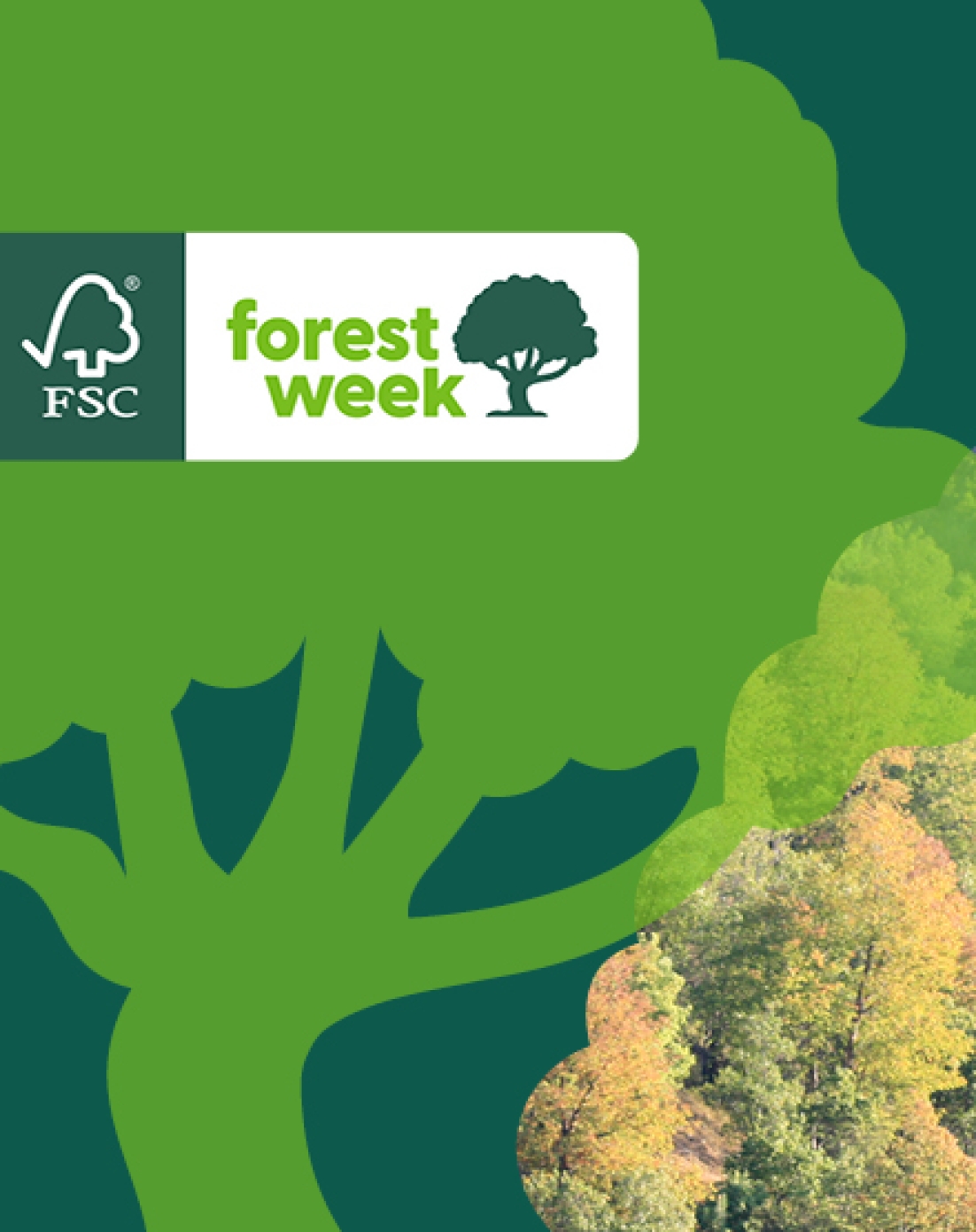 forest week