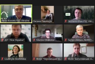 Webinar