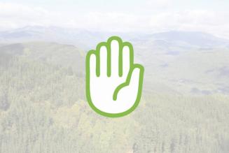 призупинення