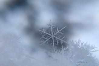 Snow