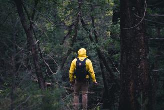 forest people