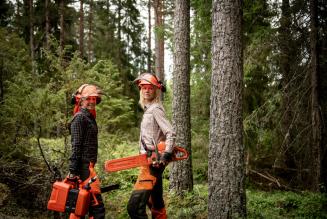 Forest workers