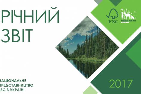 звіт 2017
