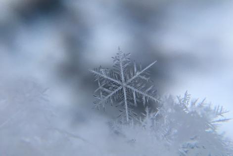 Snow