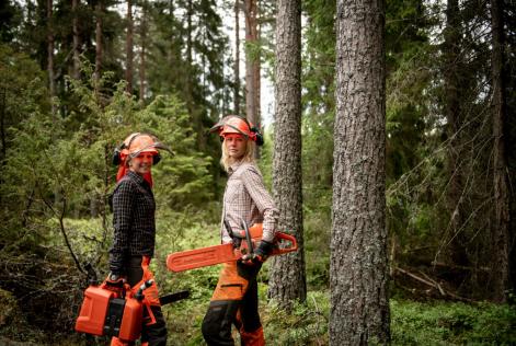 Forest workers