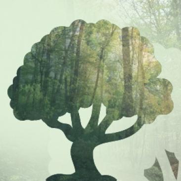 forest week